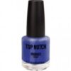 купить Лак для ногтей Top Notch Prodigy Colour 255 Blue Dome