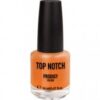 купить Лак для ногтей Top Notch Prodigy Colour 259 Sunset in Fira