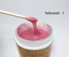 купить Гель для наращивания ALL Season Yellowish-1 15g