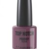 купить Лак для ногтей Top Notch Prodigy Colour 14 мл 235 Obstinate